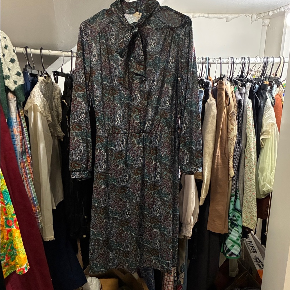 Vintage  Paisley Print Dress